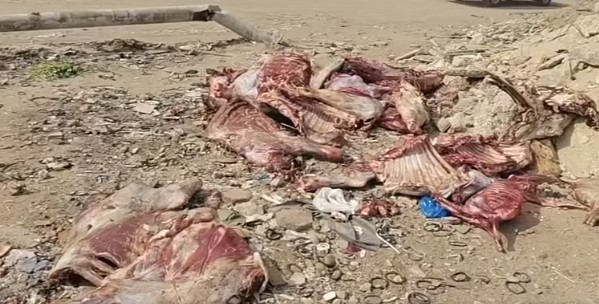 Screenshot 2026-04-08 183309